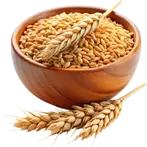 Grains