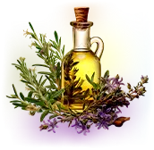 Herbs(sage/rosemary)