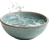 Seawater Bowl